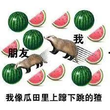 一中网课吃瓜视频,一场意外的“课堂狂欢”
