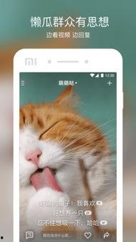 吃咸瓜的可怜视频下载,一幕揭示生活艰辛的感人瞬间