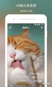 吃咸瓜的可怜视频下载,一幕揭示生活艰辛的感人瞬间