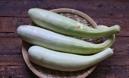 白瓜怎么吃最好吃啊视频,视频教你最佳食用技巧