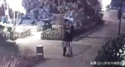 狼人吃瓜视频完整版,揭秘神秘事件背后的真相与悬疑