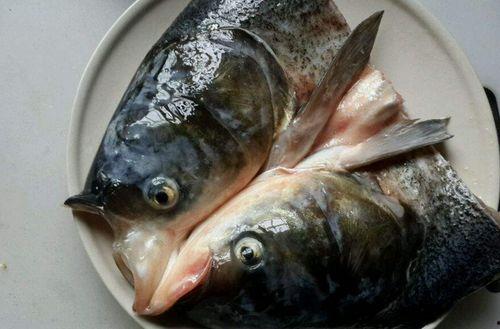 鱼头人搞笑视频带你吃瓜,带你笑翻吃瓜现场