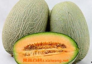 8斤吃哈密瓜视频大全图片,视频大全图片揭秘甜蜜诱惑