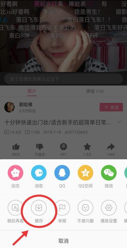 爱豆吃瓜海王视频大全下载