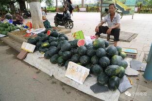 1元吃瓜视频,短视频时代的味蕾诱惑