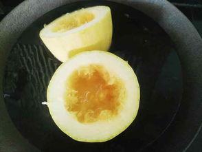 绞瓜是怎么吃的啊视频,视频教你轻松解锁美味新吃法