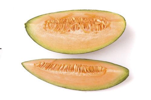 旅游女子吃蜜瓜视频下载,女子旅游视频中的甜蜜瞬间下载分享