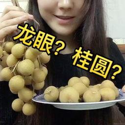 吃瓜配音乐乐乐视频,跟随乐乐视频感受音乐与瓜子的完美融合