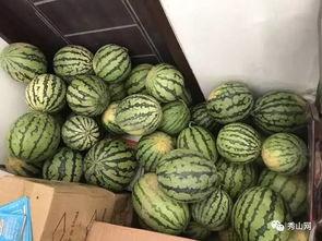 辉县网上吃瓜视频