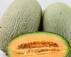 吞刀子吃哈密瓜好吗视频,吞刀子与哈密瓜的极限对决