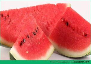 吃海鲜吃瓜视频,一场吃瓜视频的味蕾之旅