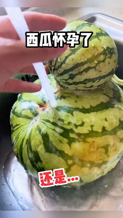 雅安吃瓜视频,揭秘当地特色美食背后的故事